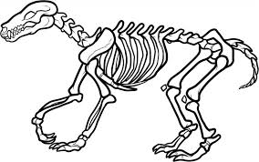 Free printable skeleton coloring pages. Pin On Birthday Idees