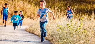 As such, option robot has a lot of lucrative offers to make you earn higher profits in a small span of time. Le Figure Professionali Famiglie Per L Accoglienza