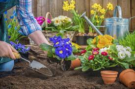 Padahal nyatanya membuat taman minimalis depan rumah tidak terlalu sulit, begitu juga alat yang dibutuhkan juga tidak terlalu banyak. 9 Tips Cara Membuat Taman Depan Rumah Sendiri