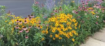 So what happens if your yard or outdoor space garden carts can be a lifesaver when carrying plants, mulch, potting soil and more around your yard. Midwest Gardening Best Low Maintenance Hardy Perennials For Cold Climates