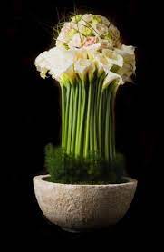 Calla Lily Centerpiece Weddingbee Calla Lily Centerpieces Lily Centerpieces Asparagus Fern