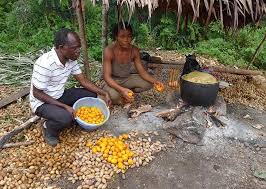 Image result for Raphia sese