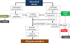 process flow chart for enzyme production download