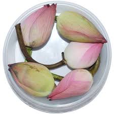 There isn't a connection between the bible and a lotus flower. Flowers Farmers Association Lotus Flower 2 Pcs