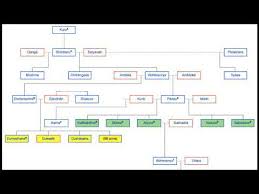 Family Tree Of Kauravas And Pandavas Mahabharata In Hindi