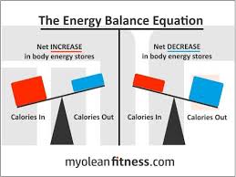 Pin On Nutrition