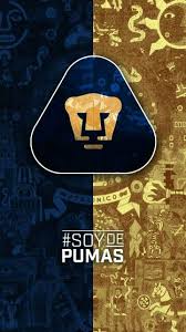 Founded in 1954 as club deportivo universidad, the club represents the national autonomous. Soy De Pumas Pumas Unam Wallpapers Imagenes Pumas Pumas