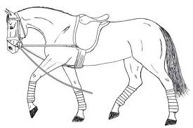 Wenn einmal kein echtes pferd zur verfügung steht, einfach eines der folgenden pferde. Malvorlage Pferd Mit Sattel Coloring And Malvorlagan