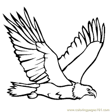 This bald eagle coloring pages was posted in the coloring pages category. Bald Eagle Coloring Page For Kids Free Eagle Printable Coloring Pages Online For Kids Coloringpages101 Com Coloring Pages For Kids