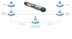 Ripple's exclusivity means that not everyone. Bichip On Twitter Announcement Bichip Microchip Implant Is Now Implementing Ripple Payment Systems In The Product This Means That The Microchip Owners Will Not Be Needing To Connect Their Microchip To Their