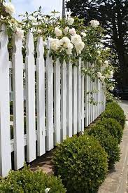 cloture bois cloture blanche barriere bois jardin