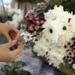 How to make giant paper flowers. Dog Flowers Flower Arrangements Made In The Shape Of Dogs The First Time Dog Owner Guide Animal Flower Arrangements Puppy Flowers Beautiful Flower Arrangements