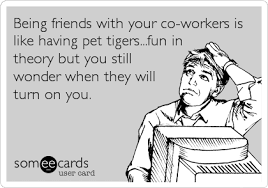 Oh My Freaking Stars Friends Pet Tigers Pet Tiger Workplace Humor Work Humor