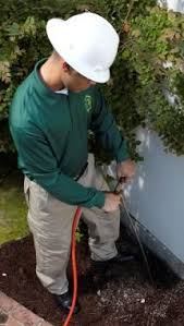 Just type it into the search box, we will give you. 45 Pest Control In Atlanta Ideas Pest Control Services Pest Control Pests