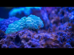 Check spelling or type a new query. Kumpulan Soal Integral Sbmptn Kunci Ujian