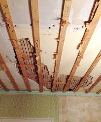 The Dining Room Ceiling Oops Manhattan Nest Dining Room Ceiling Home Ceiling Restoring Old Houses