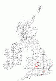 Image result for Stigmella pyri