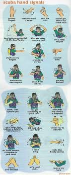 Vacationtravelogue Shopping Scuba Diving Quotes Scuba Diving Gear Scuba Diving