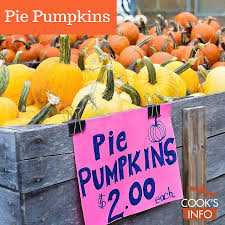 Pie Pumpkins