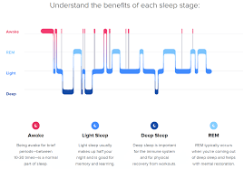 However, devices purchased in the european economic area are an exception as for this area; Fitbit Alta Hr Sleep Tracking And Sleep Stages Review Ausdroid