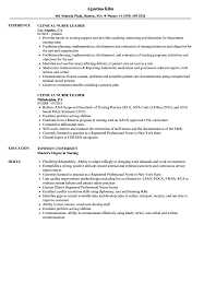 The best way to tell the employer that they can trust you with team leader duties is by showing them you know what the. Clinical Nurse Leader Resume Samples Velvet Jobs