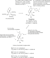 Sodium-Glucose Cotransporter Inhibitors as Antidiabetic Drugs: Current  Development and Future Perspectives