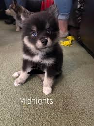 6 weeks old already....