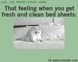 We Changed Our Url Funny Posts Funny Gif Lol So True