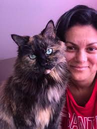 Introducing Chiquita, hoping for a harmonious relationship with my other  female cat