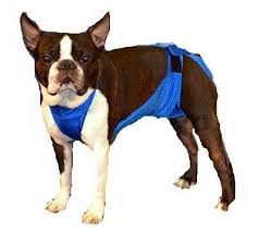 Custom Dog Diaper Made With Fashion Swimsuit Fabric For Comfort And Style Custom Dog Coats Dog Diapers Dog Clothes