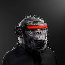 Degen Monkey 125 Nftb