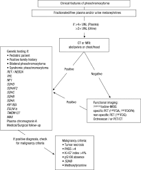flow chart for diagnostic evaluation for pheochromocytoma