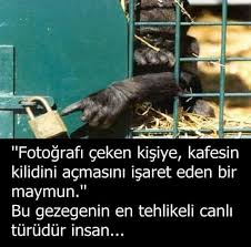 Hayvanlarin Bir Dini Olsaydi Insani Seytan Olarak Dusunurlerdi Gercekler Bilgi Hayvan Sozleri