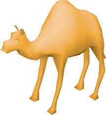Compare arabic جَمَل‎ (jamal) and hebrew גמל‎ (gamál). Camel Osrs Wiki