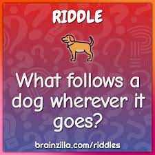 These best riddles with answers will force you to think creatively and outside of the box. What Follows A Dog Wherever It Goes Riddle Answer Brainzilla