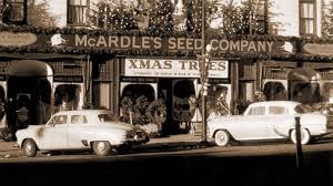 Check spelling or type a new query. 6 Steps To Picking The Perfect Christmas Tree Abc News