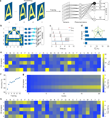 Click one of the words below to view definition. Tactile Sensory Coding And Learning With Bio Inspired Optoelectronic Spiking Afferent Nerves Nature Communications