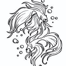 Poin pembahasan konsep 31+ gambar ikan hitam putih adalah : Ikan Cupang Plakat Neno Koi Shopee Indonesia