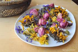 We did not find results for: Effortless Oven Dried Flowers For Crafts Dried Flowers Diy Dried Potpourri Dried Lavender Flowers