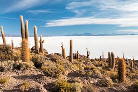 Travelers can book tours in. Bolivia How To Plan A Visit Uyuni Salt Flats E T Abroad
