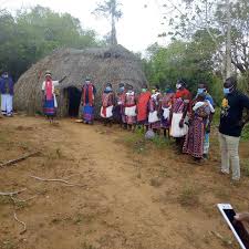 Image result for Vitellariopsis kirkii