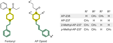 Human metabolism and basic pharmacokinetic evaluation of AP‐238: A recently  emerged acylpiperazine opioid - Brunetti - Drug Testing and Analysis -  Wiley Online Library