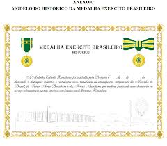 We did not find results for: Sirinoseg Medalha Exercito Brasileiro