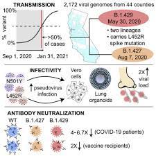 brvölkner electronic führer 1991, title: Transmission Infectivity And Neutralization Of A Spike L452r Sars Cov 2 Variant Sciencedirect