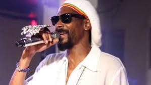 B-Real, DJ Muggs, Sen Dog, and Eric Bobo are the four main members of what  '90s group, whose best-selling song is "Insane in the Brain"?