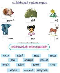 21+ 1st grade art worksheets photos. Sample Tamil Worksheets Sparklekids
