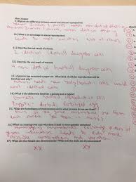Homologous pairs of chromosomes line up together in metaphase x 2. Mrs Book On Twitter Mitosis Vs Meiosis Review Key