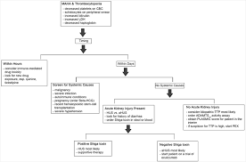 Image result for Plasmic Score
