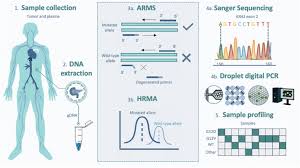 Combining the amplification refractory mutation system and high-resolution  melting analysis for KRAS mutation detection in clinical samples