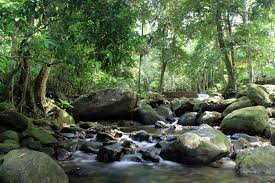 Maybe you would like to learn more about one of these? Www Penbiru Com Discover Kedah 2016 Air Terjun Titi Hayun